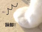 【提醒】用微信支付还信用卡，超过这么多要收(图4)